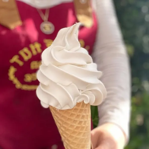 Vanilla soft serve in a waffle cone